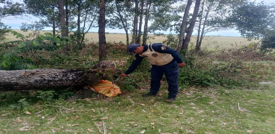 CUERPO DE POLICÍA NACIONAL BOLIVARIANA INCAUTA 10 KILOGRAMOS DE MARIHUANA EN EL ESTADO APURE