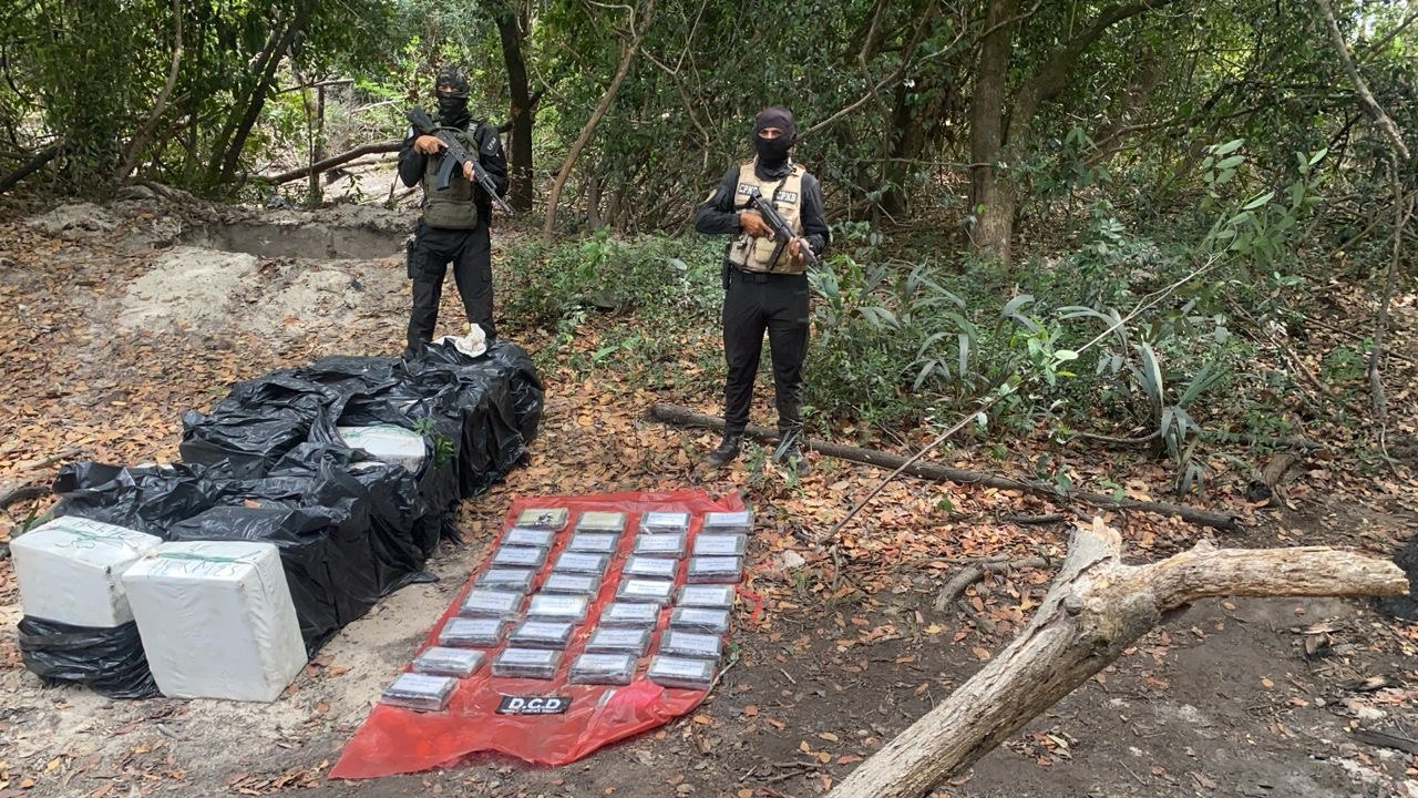 DESMANTELAN COMPLEJO LOGÍSTICO DEL NARCOTRÁFICO EN APURE: INCAUTAN MÁS DE 600 KILOS DE COCAÍNA Y UNA AERONAVE