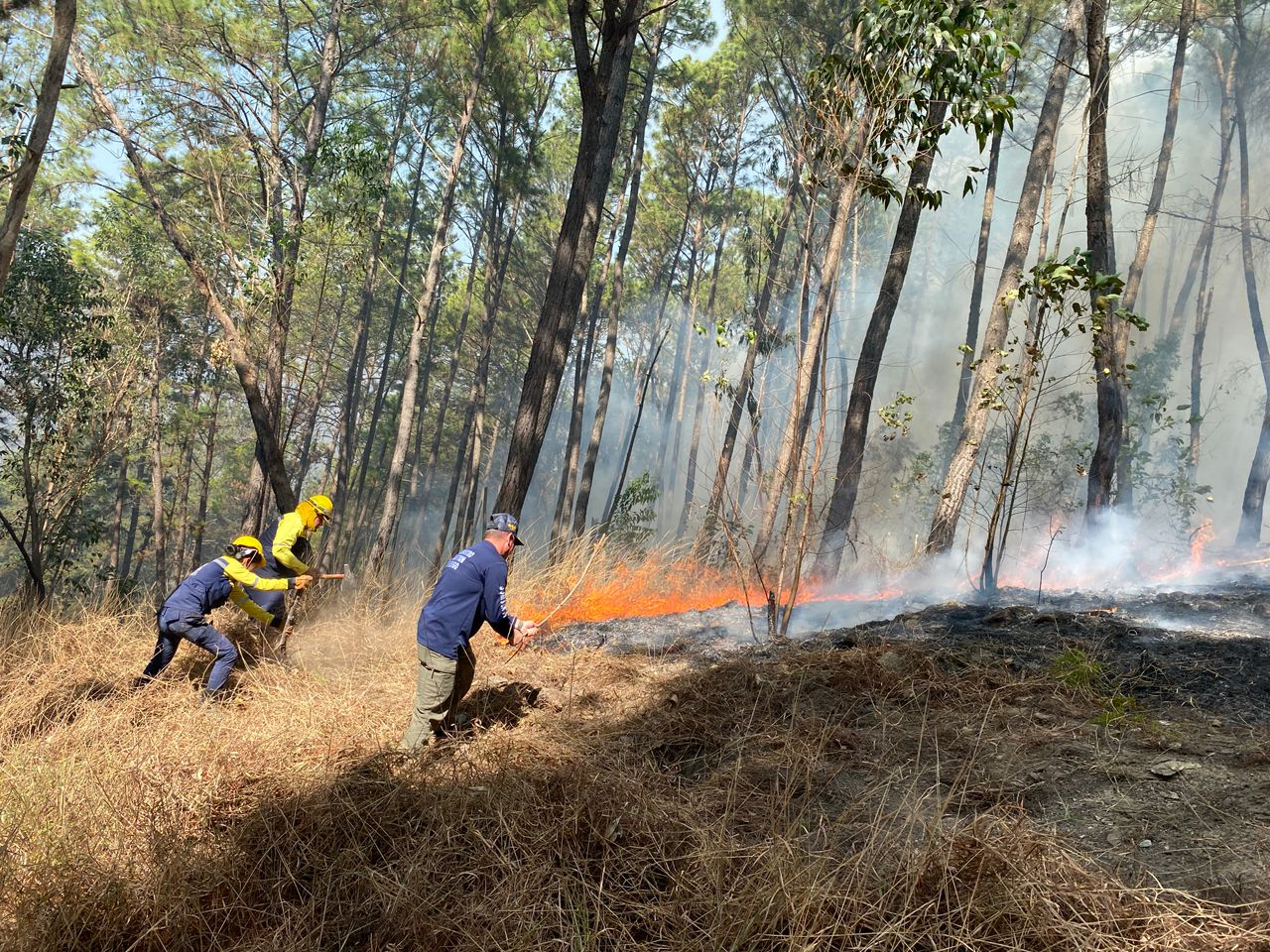 SNGR DESPLEGADO EN TAZÓN PARA SOFOCAR INCENDIO DE VEGETACIÓN DE ALTA COMPLEJIDAD