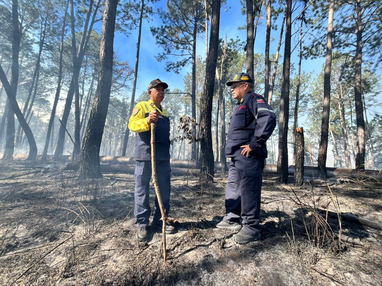 BOMBEROS CONTROLAN INCENDIO EN EL KM 5 DE LA REGIONAL DEL CENTRO