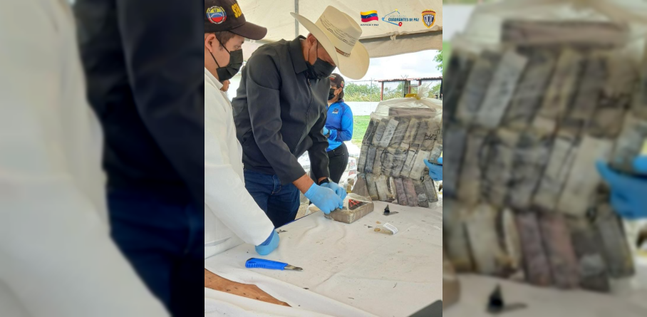 Imagen de AUTORIDADES DESTRUYEN MÁS DE TRES TONELADAS DE SUSTANCIAS ILÍCITAS EN EL ESTADO APURE
