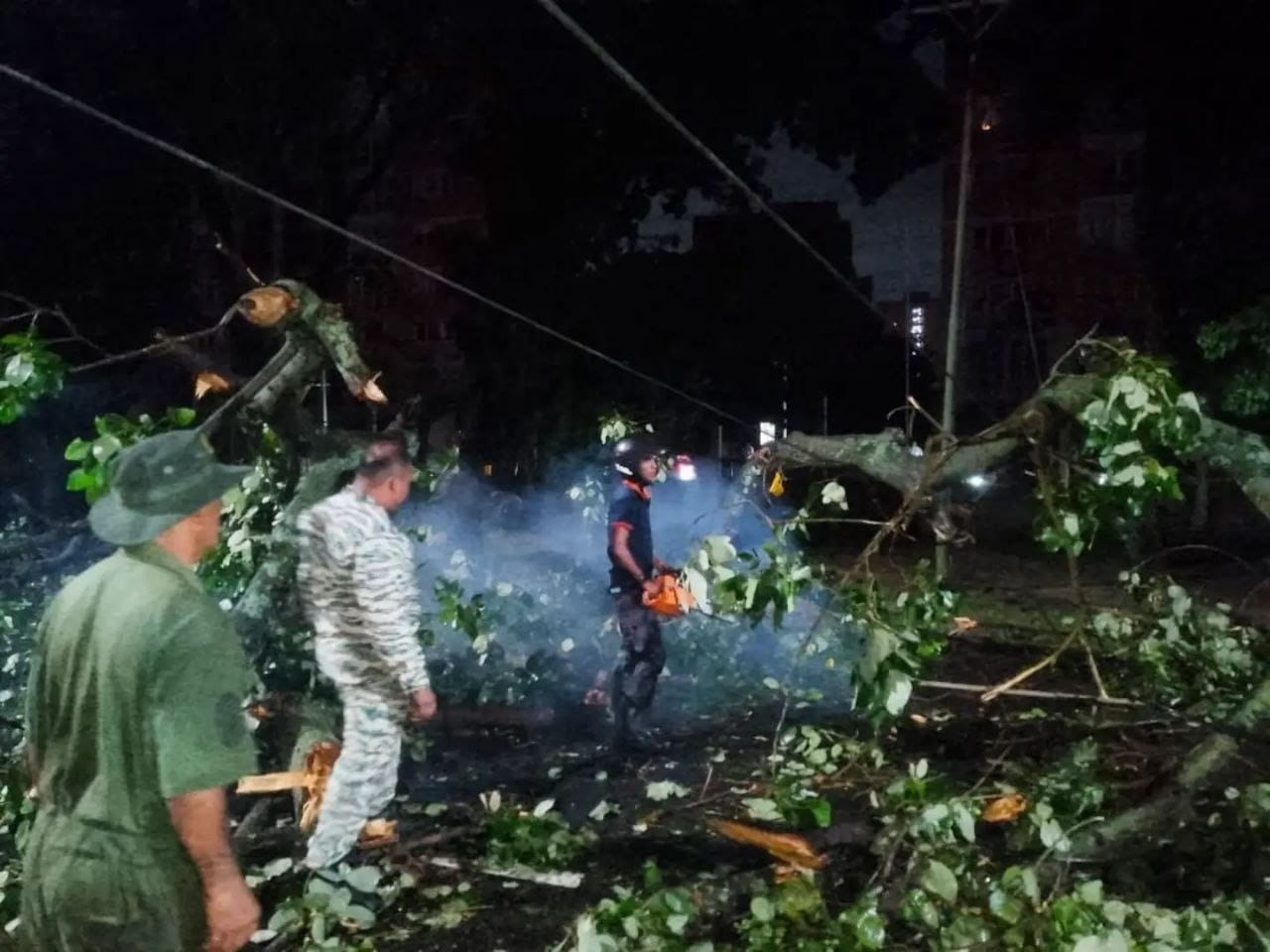 SNGR RETIRA ÁRBOL CAÍDO QUE OBSTACULIZABA EL TRÁNSITO EN LA AUTOPISTA VALLE-COCHE