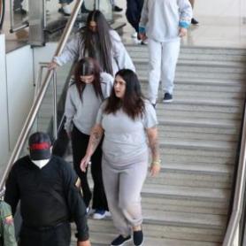 Imagen descriptiva 1