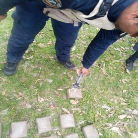 Imagen descriptiva 1