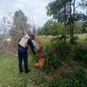 Imagen descriptiva 2