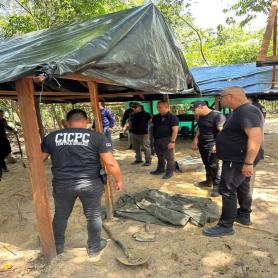 Imagen descriptiva 3