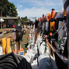 Imagen descriptiva 1