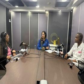 Imagen descriptiva 1