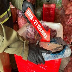 Imagen descriptiva 2