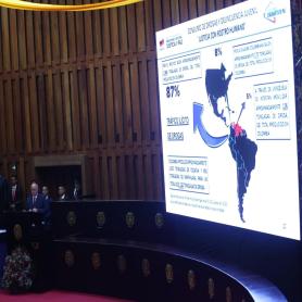 Imagen descriptiva 3