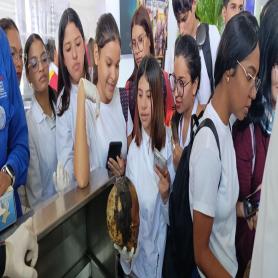 Imagen descriptiva 1