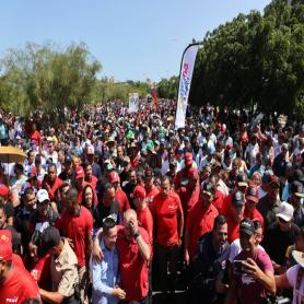 Imagen descriptiva 2