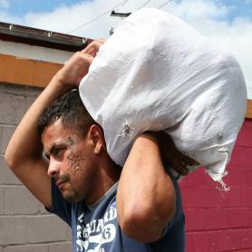 Imagen descriptiva 2