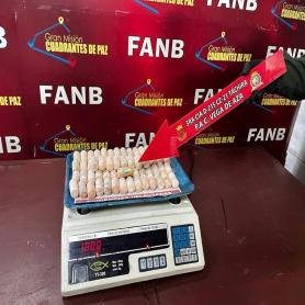 Imagen descriptiva 1