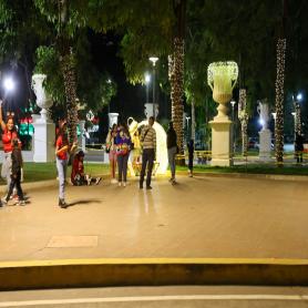 Imagen descriptiva 2