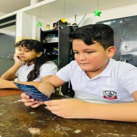 Imagen descriptiva 1