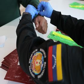 Imagen descriptiva 1