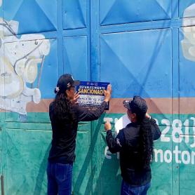 Imagen descriptiva 1