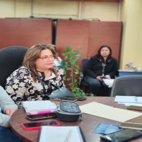 Imagen descriptiva 1